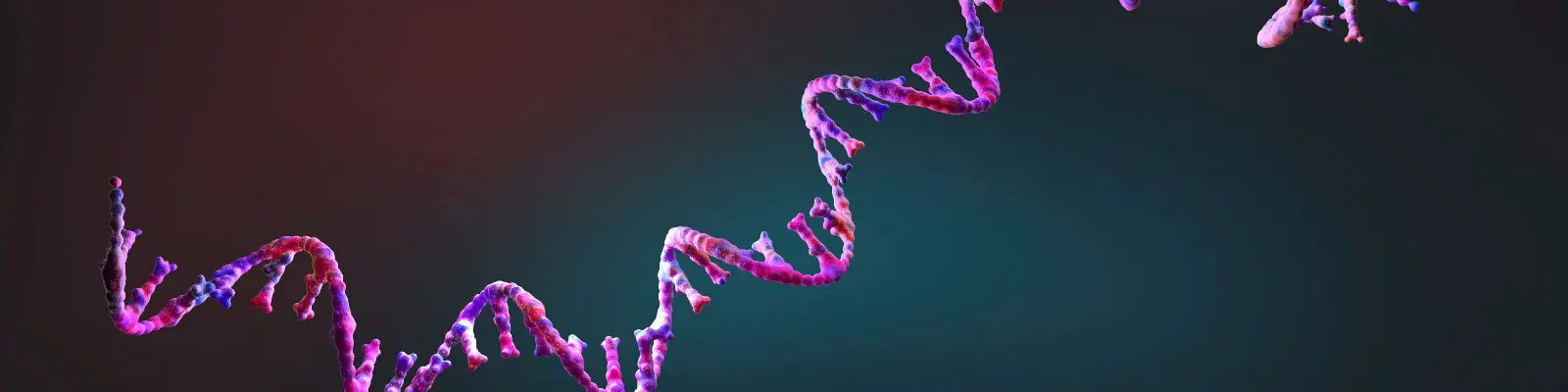 Amino Asitler ve Peptitler