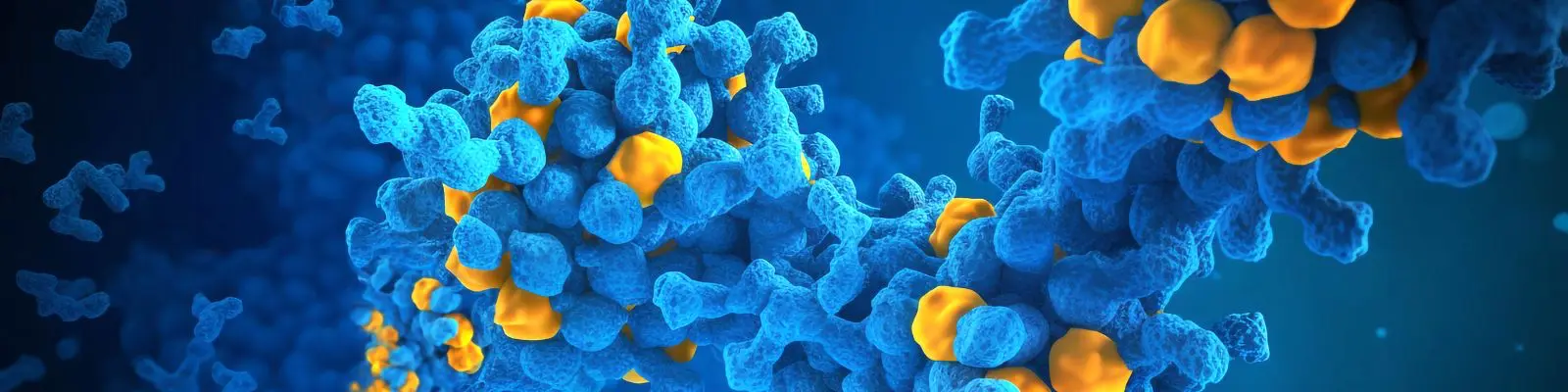 Monomerler ve Yapı Taşları