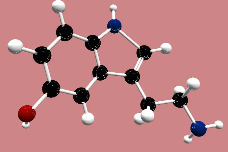 Organometalik Bileşikler