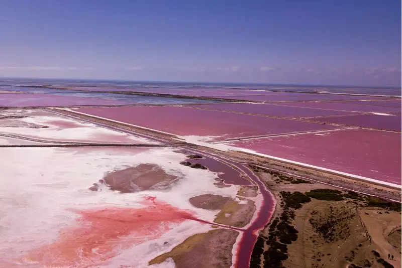 Tuzlar ve Mineraller