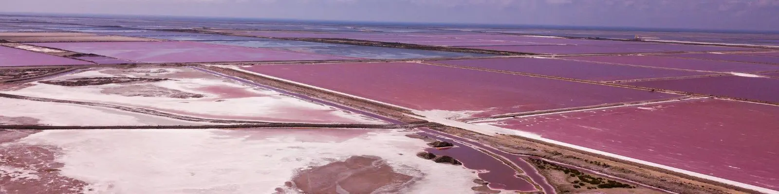 Tuzlar ve Mineraller
