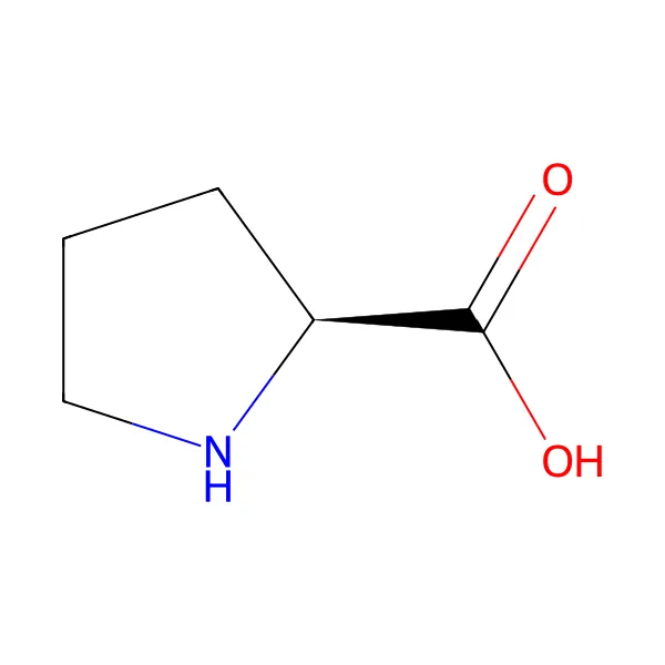 L-prolin molekül yapısı — CAS 147-85-3