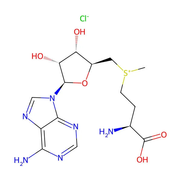 S-adenozil-L-metiyonin klorür molekül yapısı — CAS 24346-00-7