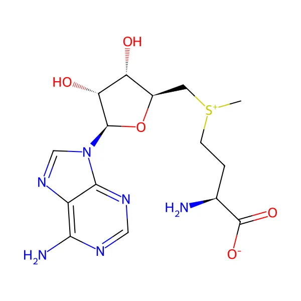 S-Adenozil-L-Metiyonin (SAMe) molekül yapısı — CAS 29908-03-0
