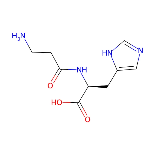 L-Karnosin molekül yapısı — CAS 305-84-0