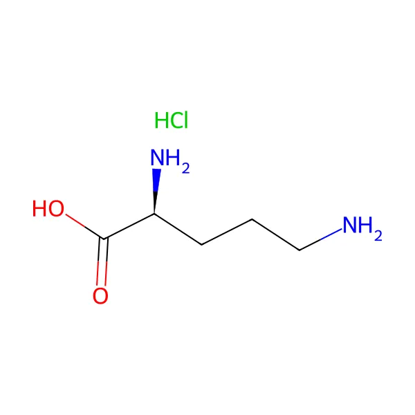 Ornitin hidroklorür molekül yapısı — CAS 3184-13-2