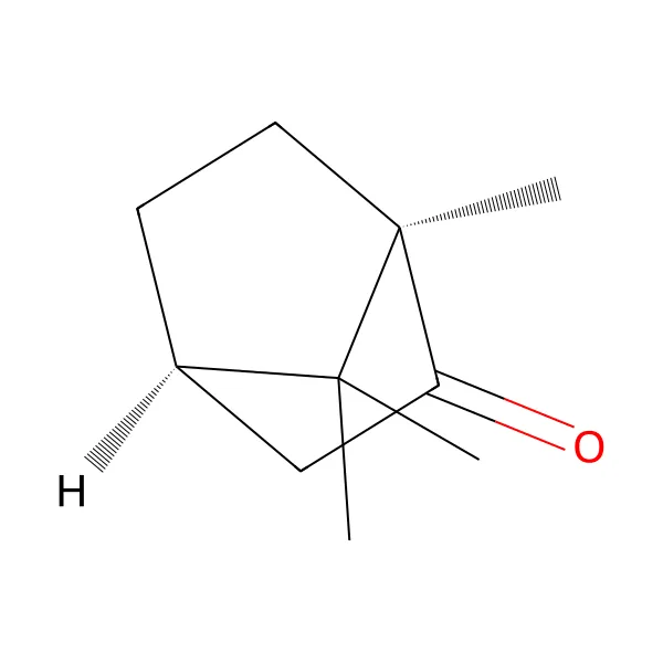 D-kafur molekül yapısı — CAS 464-49-3