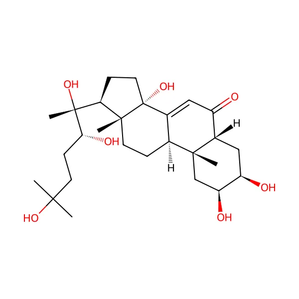 20-Hidroksiekdizon molekül yapısı — CAS 5289-74-7