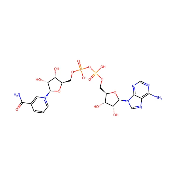 Nikotinamid adenin dinükleotit molekül yapısı — CAS 53-84-9