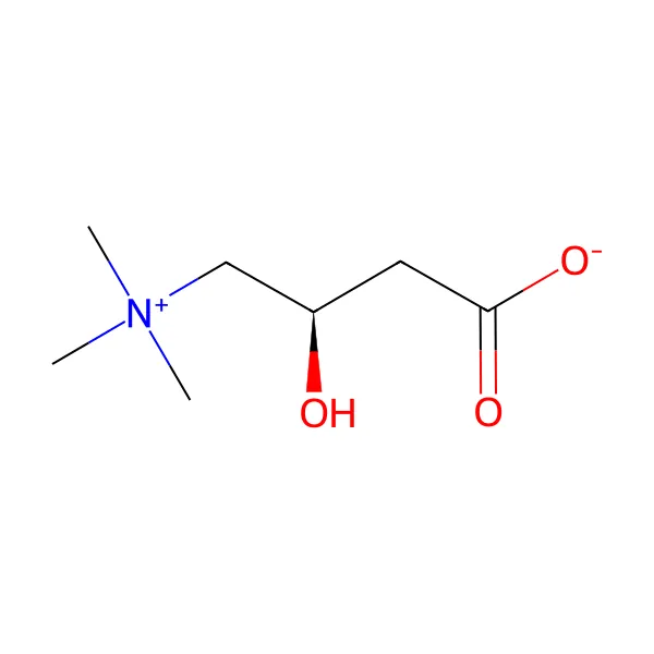 L-Karnitin molekül yapısı — CAS 541-15-1