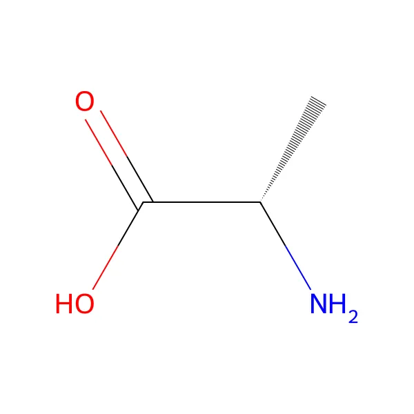 L-Alanin molekül yapısı — CAS 56-41-7
