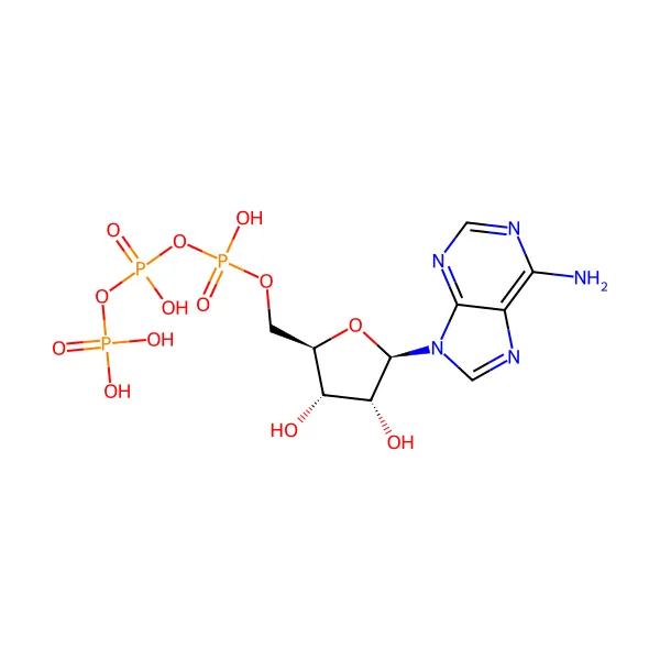Adenozin trifosfat molekül yapısı — CAS 56-65-5