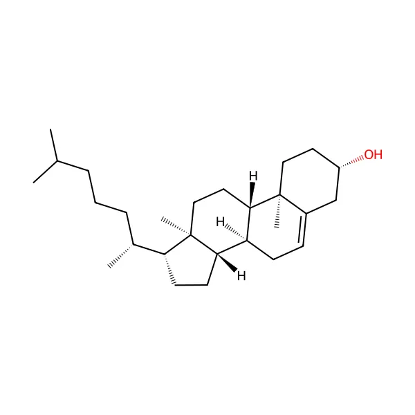 Kolesterol molekül yapısı — CAS 57-88-5
