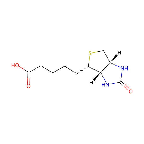 Biyotin molekül yapısı — CAS 58-85-5