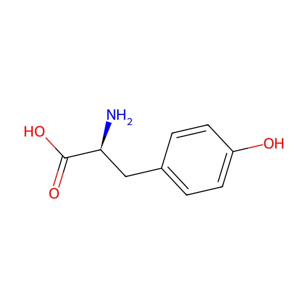 L-Tirozin molekül yapısı — CAS 60-18-4