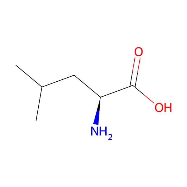 L-Lösin molekül yapısı — CAS 61-90-5