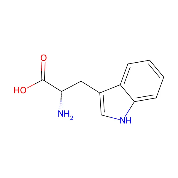 L-triptofan molekül yapısı — CAS 73-22-3